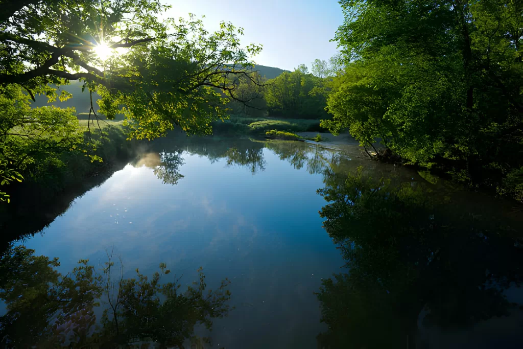 Wicomico River