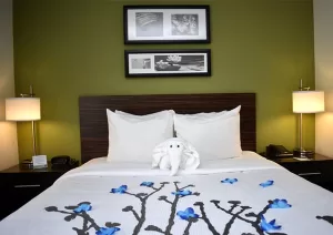 Surprising Perks You Can Get at Cheap Hotels in Salisbury, MD