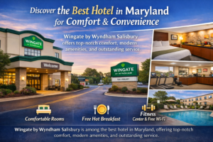 Why Travelers Recommend These as the Best Hotels in Maryland for Comfort and Convenience