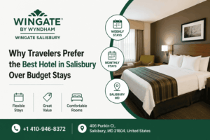 Why Travelers Prefer the Best Hotel in Salisbury Over Budget Stays